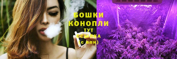 соль ск Богородск