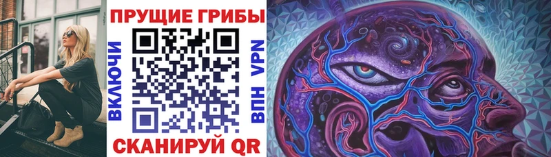 Галлюциногенные грибы Psilocybe  как найти   Ворсма 